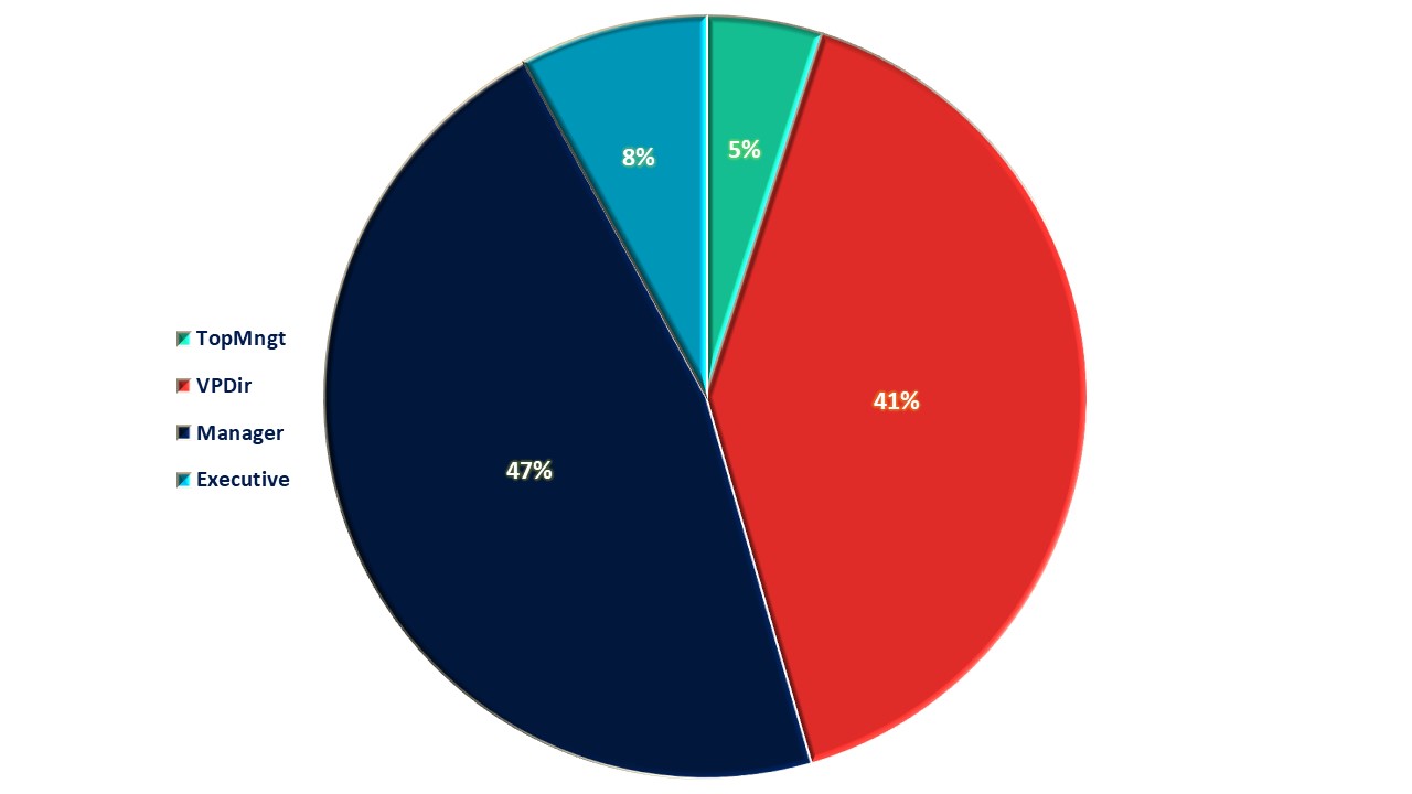 Audience seniority level pie chart